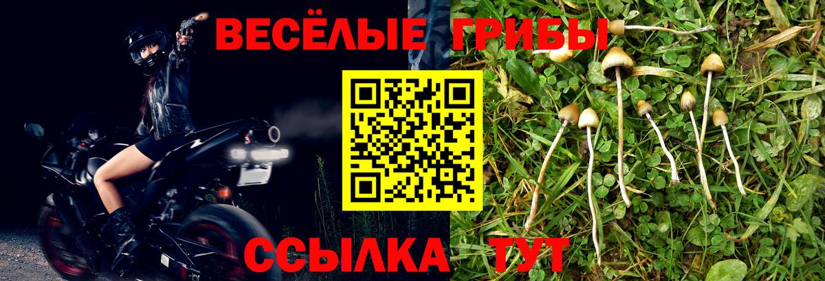 Галлюциногенные грибы Cubensis  Вход с VPN  Оренбург 