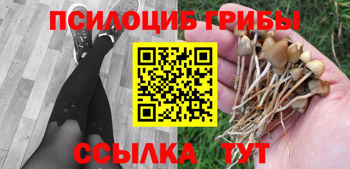 Псилоцибиновые грибы прущие грибы Оренбург