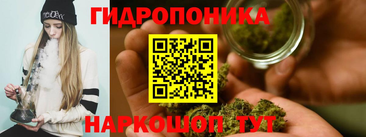 Шишки марихуана семена  Каннабис тримм  Вход с VPN  Канабис Bruce Banner  Оренбург  Бошки Шишки Ganja 